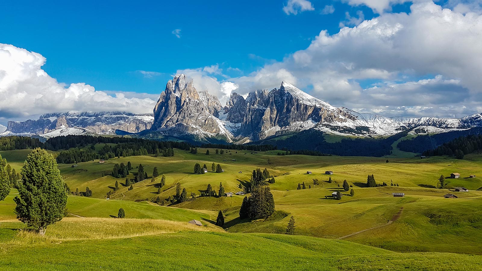 Panorama della verdeggiante Alpe di Siusi e sullo sfondo le Dolomiti innevate